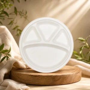 10 INCH ROUND PLATE